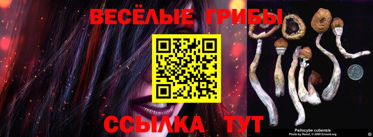 Качканар  Псилоцибиновые грибы MAGIC MUSHROOMS  Вход с VPN 